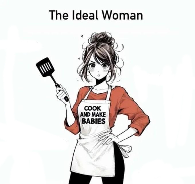 Ideal woman Blank Meme Template
