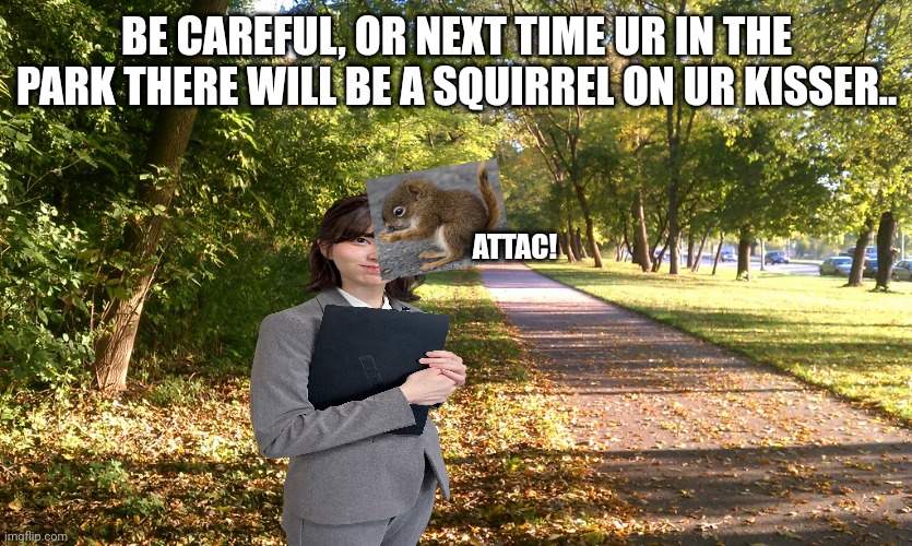 BE CAREFUL, OR NEXT TIME UR IN THE PARK THERE WILL BE A SQUIRREL ON UR KISSER.. ATTAC! | image tagged in walk in the park | made w/ Imgflip meme maker