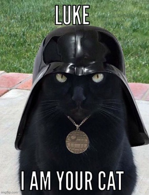 "I find your lack of food quite disturbing."  —Cath Vader | image tagged in vince vance,cats,darth vader,star wars,costume,funny cat memes | made w/ Imgflip meme maker