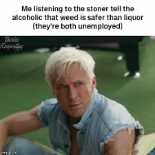 "the stoner" is an insta user btw | made w/ Imgflip meme maker