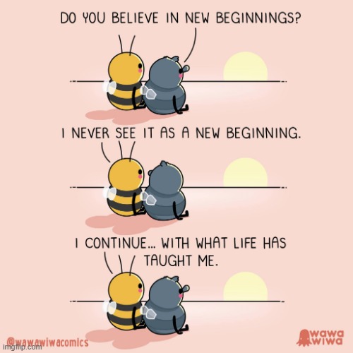 image tagged in bee,fly,sun,new beginnings,life,wisdom | made w/ Imgflip meme maker