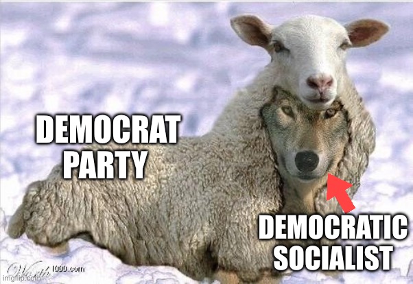 Be clear: Democratic socialists are not Democrats, even if they are running for office in the Democrat party, e.g. Mamdani | DEMOCRAT PARTY; DEMOCRATIC SOCIALIST | image tagged in wolf in sheeps clothing,democratic socialists,democrats,not the same,mamdani | made w/ Imgflip meme maker