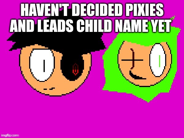 HAVEN'T DECIDED PIXIES AND LEADS CHILD NAME YET | made w/ Imgflip meme maker