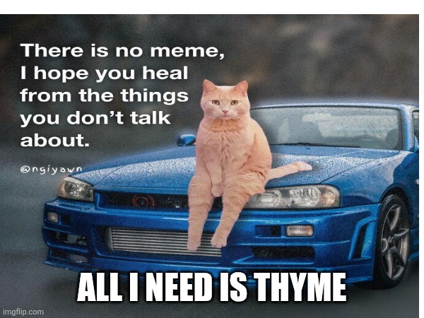 Herbal Medicine Kitty | ALL I NEED IS THYME | image tagged in healing,it's a surprise tool that will help us later,please help me,philosoraptor,smudge the cat,smiling cat | made w/ Imgflip meme maker