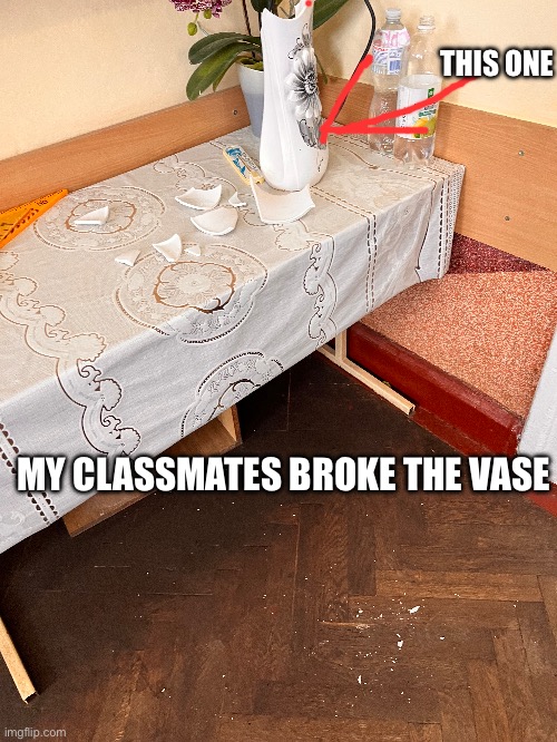 Vasa | THIS ONE; MY CLASSMATES BROKE THE VASE | image tagged in class,school | made w/ Imgflip meme maker
