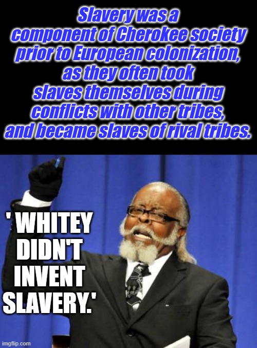 You've never been taught the truth about slavery. | Slavery was a component of Cherokee society prior to European colonization, as they often took slaves themselves during conflicts with other tribes, and became slaves of rival tribes. ' WHITEY DIDN'T INVENT SLAVERY.' | image tagged in memes,too damn high | made w/ Imgflip meme maker