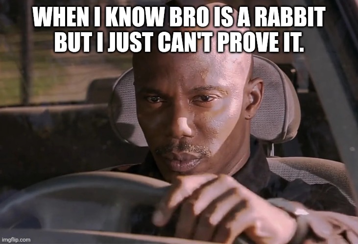 Doakes | WHEN I KNOW BRO IS A RABBIT BUT I JUST CAN'T PROVE IT. | image tagged in doakes | made w/ Imgflip meme maker