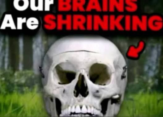 Our BRAINS Are SHRINKING Blank Meme Template