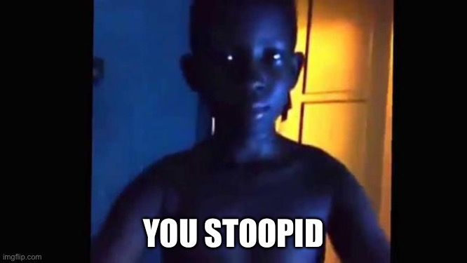 21 kid | YOU STOOPID | image tagged in 21 kid | made w/ Imgflip meme maker