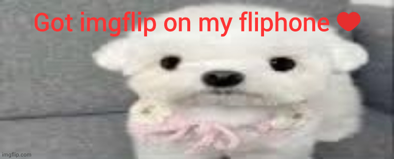 Dog stating | Got imgflip on my fliphone ❤️ | image tagged in dog stating | made w/ Imgflip meme maker