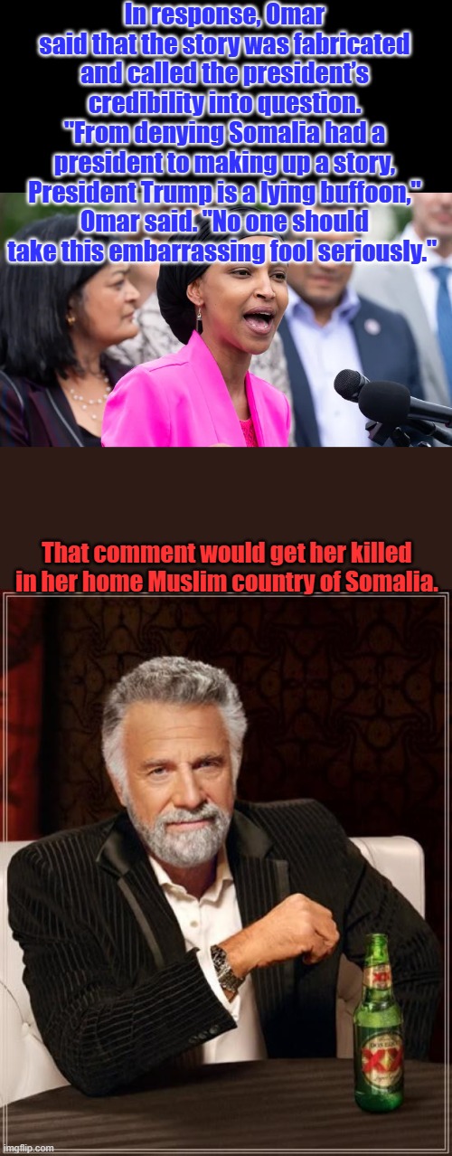 FLUSH & DEPORT | In response, Omar said that the story was fabricated and called the president’s credibility into question.
"From denying Somalia had a president to making up a story, President Trump is a lying buffoon," Omar said. "No one should take this embarrassing fool seriously."; That comment would get her killed in her home Muslim country of Somalia. | image tagged in memes,the most interesting man in the world | made w/ Imgflip meme maker