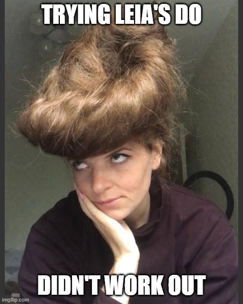 Long hair woman | TRYING LEIA'S DO; DIDN'T WORK OUT | made w/ Imgflip meme maker