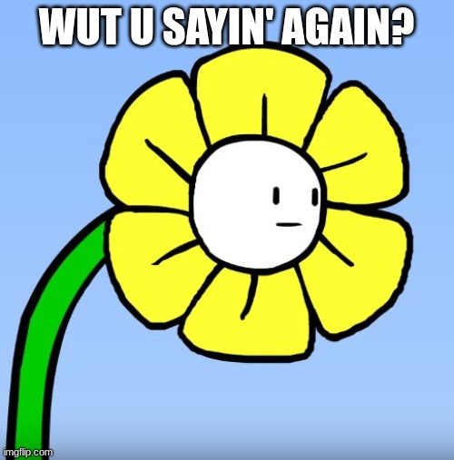 Wut Flowey | WUT U SAYIN' AGAIN? | image tagged in wut flowey | made w/ Imgflip meme maker