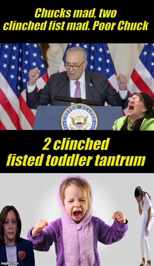 Dems are a bunch of babies. Throwing tantrum after tantrum. Dems are created young. Young Chuck pictured below | made w/ Imgflip meme maker