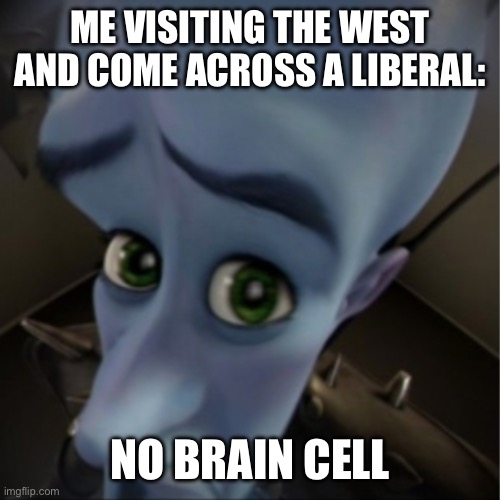 Megamind peeking | ME VISITING THE WEST AND COME ACROSS A LIBERAL:; NO BRAIN CELL | image tagged in megamind peeking | made w/ Imgflip meme maker