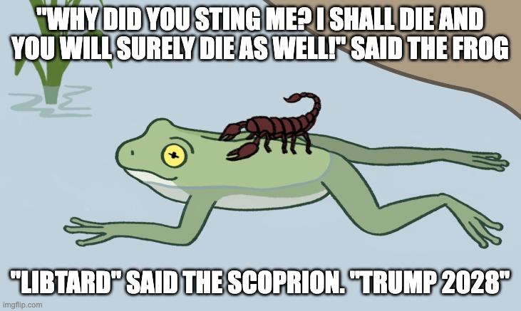 Frog and Scorpion | "WHY DID YOU STING ME? I SHALL DIE AND YOU WILL SURELY DIE AS WELL!" SAID THE FROG; "LIBTARD" SAID THE SCOPRION. "TRUMP 2028" | image tagged in frog and scorpion | made w/ Imgflip meme maker