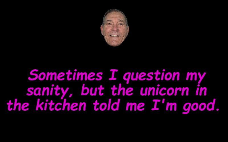 sanity | Sometimes I question my sanity, but the unicorn in the kitchen told me I'm good. | image tagged in sanity,kewlew | made w/ Imgflip meme maker