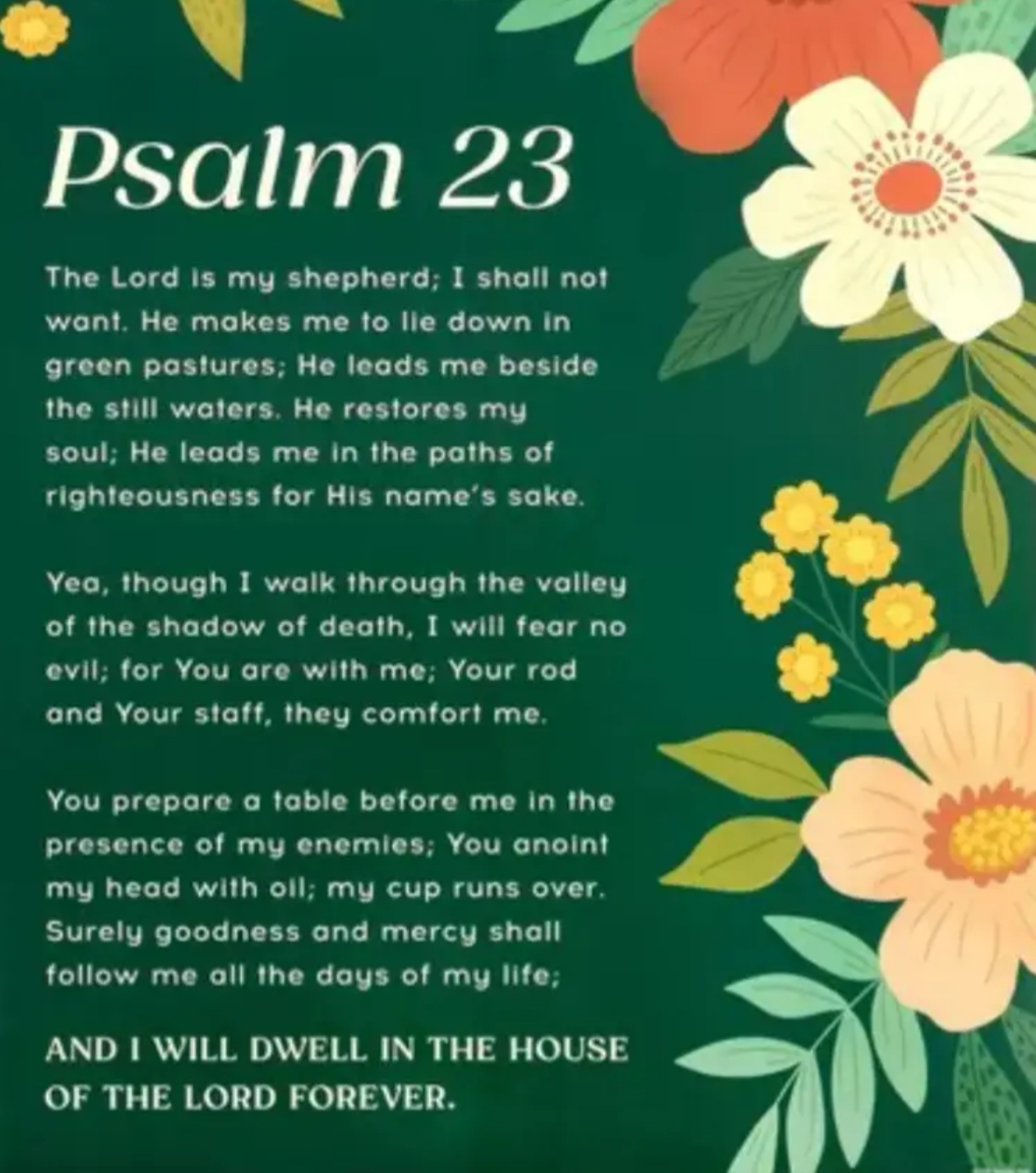 Psalm 23 Blank Meme Template