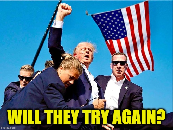 Not tired of winning yet | WILL THEY TRY AGAIN? | image tagged in president trump | made w/ Imgflip meme maker