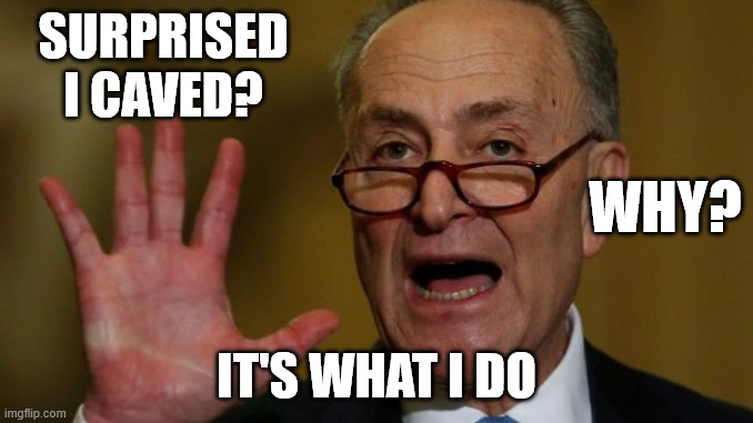 Operation: Schumer caves again is in full effect. | SURPRISED I CAVED? WHY? IT'S WHAT I DO | image tagged in chuck schumer | made w/ Imgflip meme maker