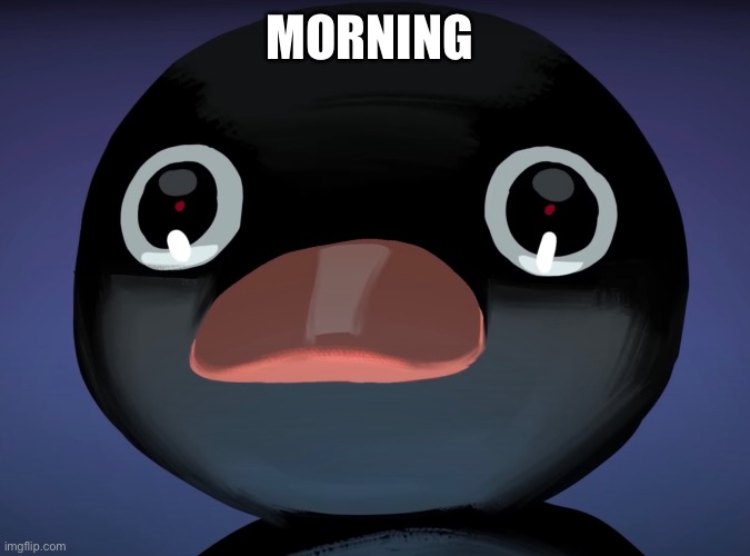 Pingu stare | MORNING | image tagged in pingu stare | made w/ Imgflip meme maker