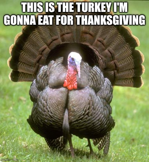 I'm gonna eat it | THIS IS THE TURKEY I'M GONNA EAT FOR THANKSGIVING | image tagged in memes,turkey | made w/ Imgflip meme maker