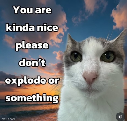 Don't look at the tags or something | image tagged in you explode if you read this | made w/ Imgflip meme maker