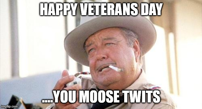 Buford T Justice | HAPPY VETERANS DAY; ....YOU MOOSE TWITS | image tagged in buford t justice | made w/ Imgflip meme maker