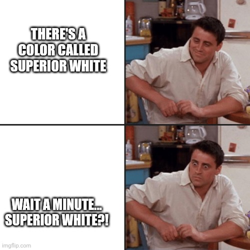There's a color called Superior White | THERE'S A COLOR CALLED SUPERIOR WHITE; WAIT A MINUTE... SUPERIOR WHITE?! | image tagged in joey friends | made w/ Imgflip meme maker
