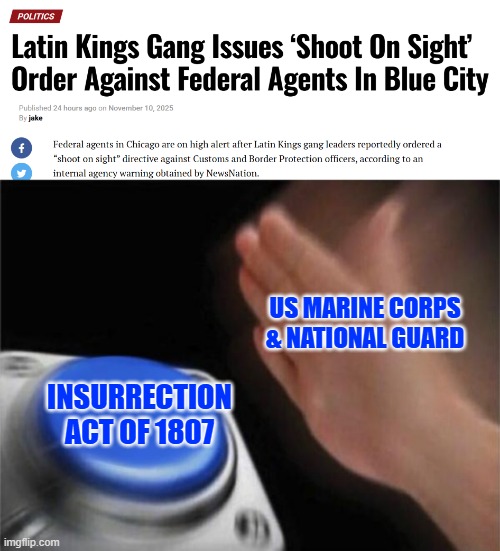 Just like President George Washington did at the Whiskey Rebellion | US MARINE CORPS & NATIONAL GUARD; INSURRECTION ACT OF 1807 | image tagged in memes,blank nut button | made w/ Imgflip meme maker