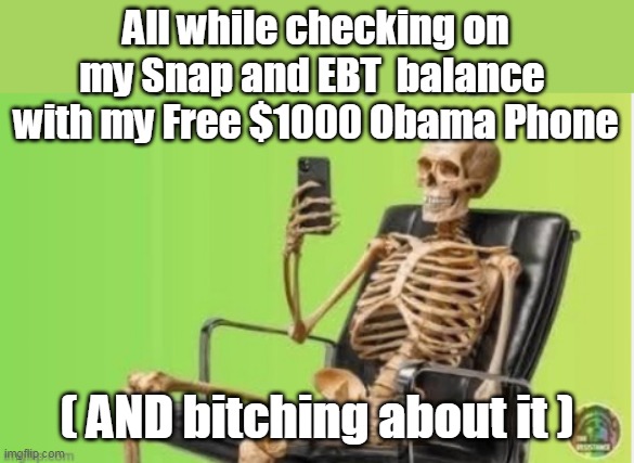 All while checking on my Snap and EBT  balance  with my Free $1000 Obama Phone ( AND bitching about it ) | made w/ Imgflip meme maker