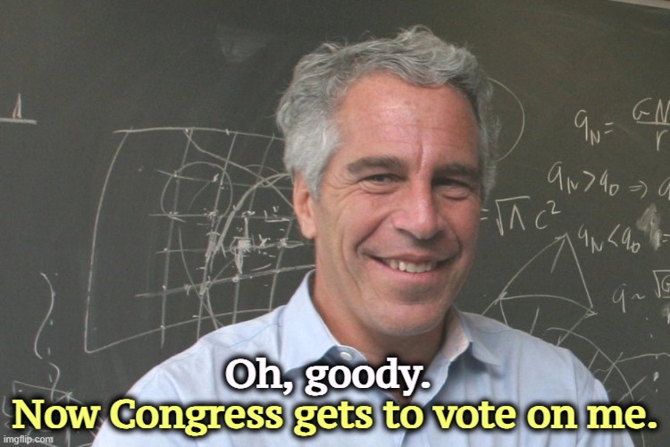 Let's put him to a vote. | Oh, goody. Now Congress gets to vote on me. | image tagged in jeffrey epstein,trump,pedo,partners in crime | made w/ Imgflip meme maker