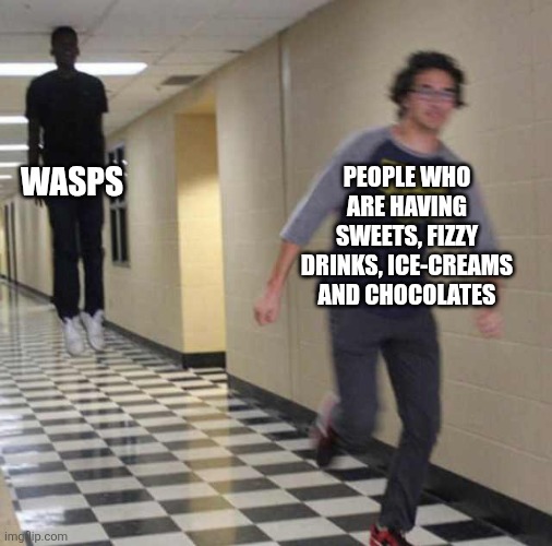 floating boy chasing running boy | WASPS; PEOPLE WHO ARE HAVING SWEETS, FIZZY DRINKS, ICE-CREAMS AND CHOCOLATES | image tagged in floating boy chasing running boy,wasp,sweets,chocolate,ice cream,fizzy drinks | made w/ Imgflip meme maker