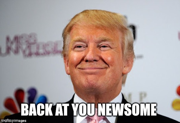 Donald trump approves | BACK AT YOU NEWSOME | image tagged in donald trump approves | made w/ Imgflip meme maker