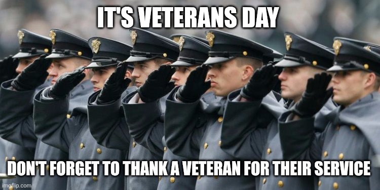 Military Salute | IT'S VETERANS DAY; DON'T FORGET TO THANK A VETERAN FOR THEIR SERVICE | image tagged in military salute | made w/ Imgflip meme maker