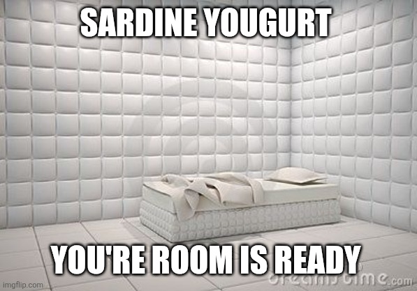 insane asylum pillow room | SARDINE YOUGURT YOU'RE ROOM IS READY | image tagged in insane asylum pillow room | made w/ Imgflip meme maker
