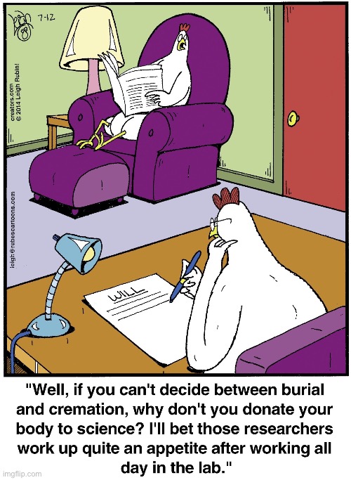 Rubes | image tagged in comics,rubes,chickens,will,indecisive,donate body | made w/ Imgflip meme maker