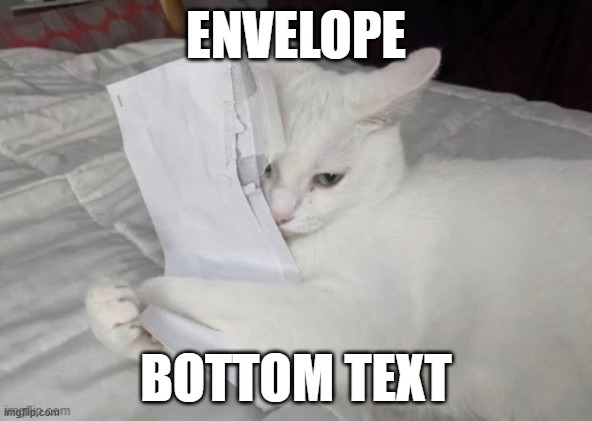 Having an easily entertained cat sure makes life a lot easier! | ENVELOPE; BOTTOM TEXT | image tagged in memes,cats,envelope,bottom text | made w/ Imgflip meme maker