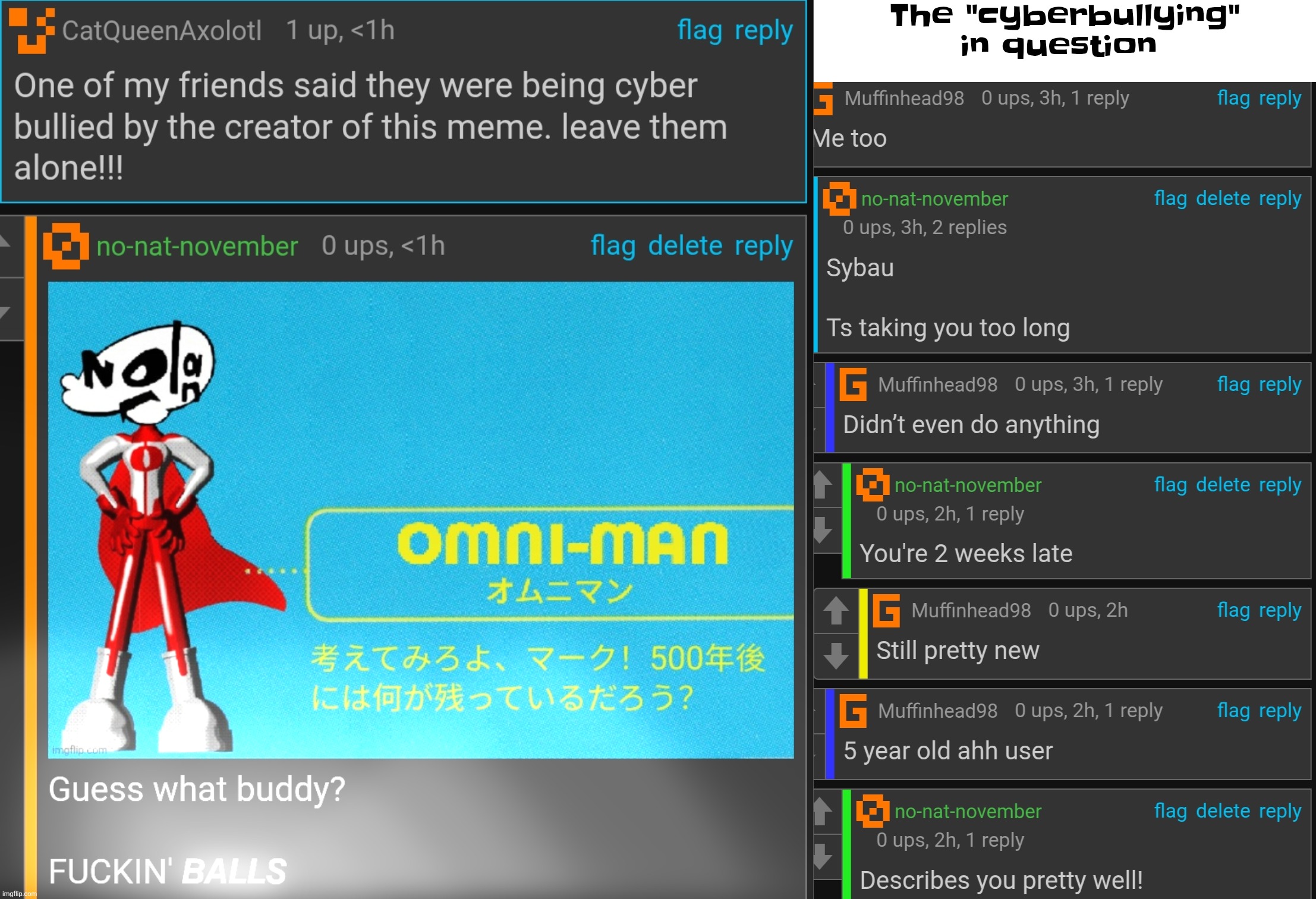 The "cyberbullying" in question | made w/ Imgflip meme maker