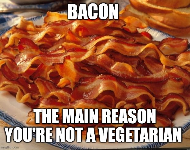 Bacon | BACON; THE MAIN REASON YOU'RE NOT A VEGETARIAN | image tagged in bacon,funny memes | made w/ Imgflip meme maker