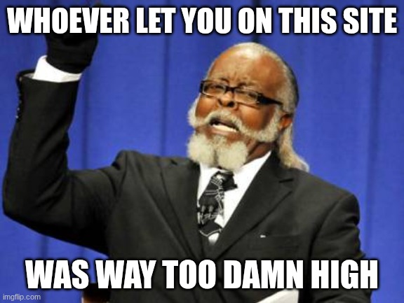 Too Damn High Meme | WHOEVER LET YOU ON THIS SITE WAS WAY TOO DAMN HIGH | image tagged in memes,too damn high | made w/ Imgflip meme maker