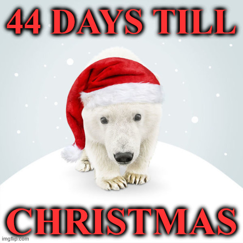 santababy | 44 DAYS TILL; CHRISTMAS | image tagged in santababy | made w/ Imgflip meme maker