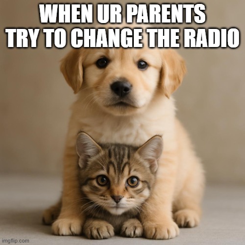 Cute puppy sitting on a kitten | WHEN UR PARENTS TRY TO CHANGE THE RADIO | image tagged in cute puppy sitting on a kitten | made w/ Imgflip meme maker