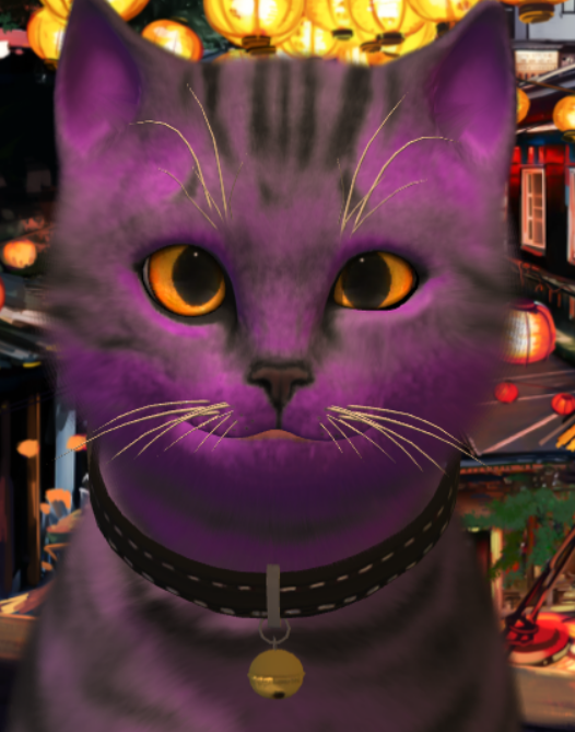 MEOW Blank Meme Template