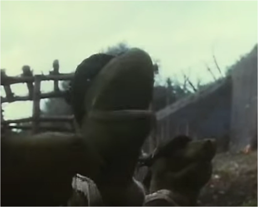 Chuck the Frog Blank Meme Template