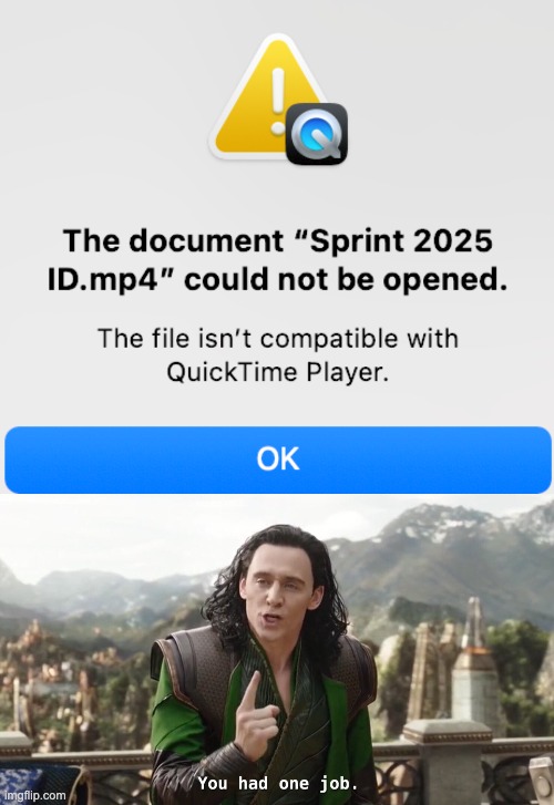 okay, since when are MP4 files incompatible with quicktime player?! | image tagged in you had one job just the one | made w/ Imgflip meme maker