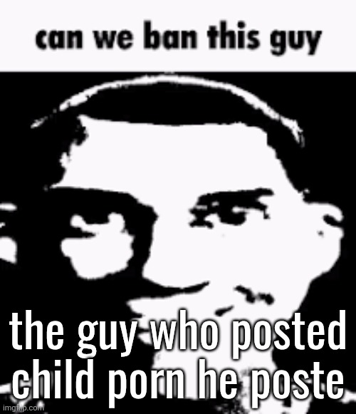 Can we ban this guy | the guy who posted
child porn he poste | image tagged in can we ban this guy | made w/ Imgflip meme maker