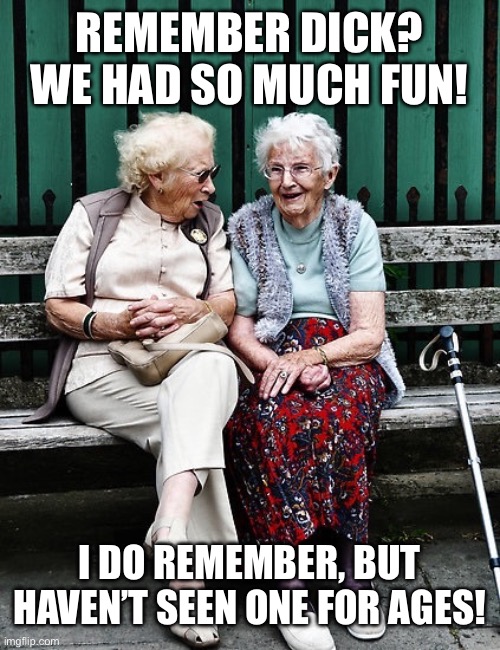 When words have different meanings | REMEMBER DICK? WE HAD SO MUCH FUN! I DO REMEMBER, BUT HAVEN’T SEEN ONE FOR AGES! | image tagged in old ladies,dick,memes,funny,relatable,memories | made w/ Imgflip meme maker