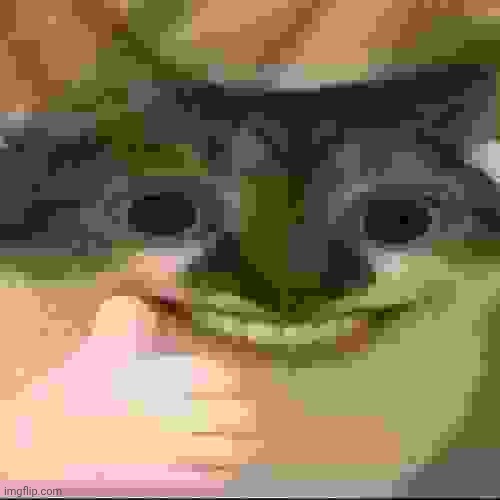 bombastic side eye cat v3 | image tagged in bombastic side eye cat v3 | made w/ Imgflip meme maker