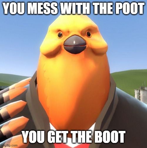 you mess with the honk you get the bonk but pootis | YOU MESS WITH THE POOT; YOU GET THE BOOT | image tagged in pootis bird | made w/ Imgflip meme maker